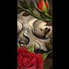 skull with roses