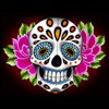 pink rose sugar skull