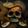 skull medusa
