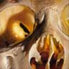 close up skull2