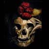 feather skull