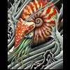 nautilus