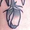 shears and roses.. what.