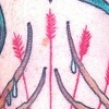 forrest spirit