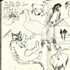 Hato Cristero, animals