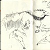 Hato Cristero, animals