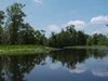 Tarzan Lord of the Louisiana Jungle Trailer
