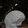 The Brain Project