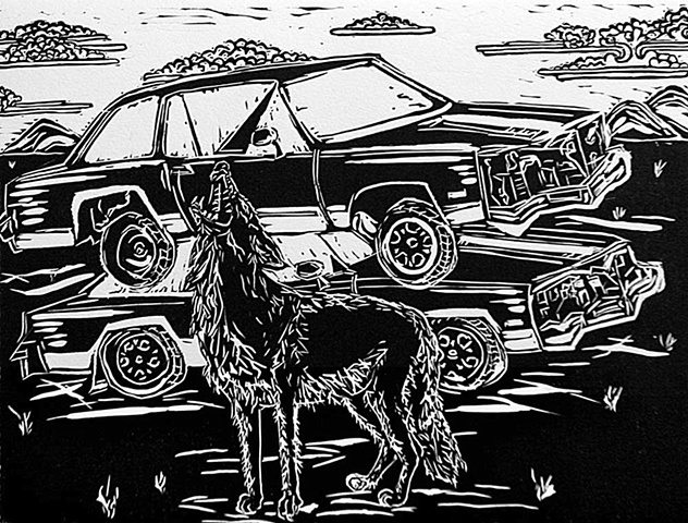 'Coyote and Junkyard�