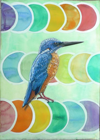 kingfisher perching, tantra, dots
