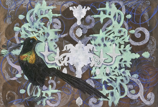 bird of paradise