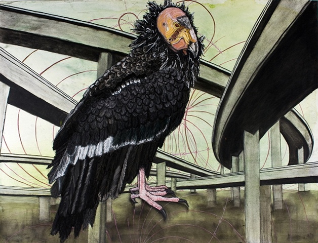 'Condor and Freeways'