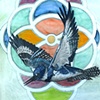 'Flying Kingfisher and Diagram'