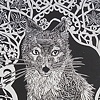 'Nebraska Series- Swift Fox'
