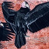 'Measurement of the Heavens'