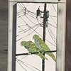 Pay Phone Revival Project- back view