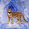 'Vanishing Ocelot