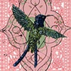'Hummingbird Fig. #1'