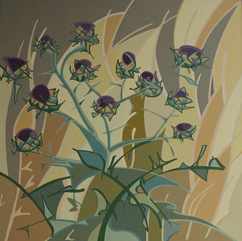 California Thistle