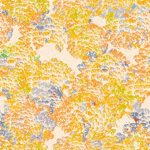 Splash Image