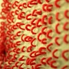 Loops (detail)
