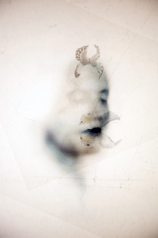 Splash Image