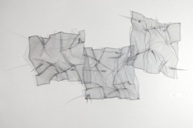 Thorny Trapezoid 5'wx2.5h