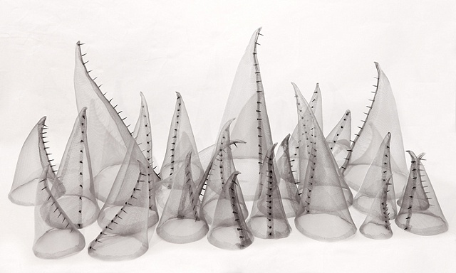 Cone Community from 3' x 8" d