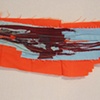 Remnant Landscape Collage 1