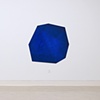Blue Octagon (2010)