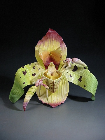 Orchid with Ants