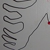 Ribs