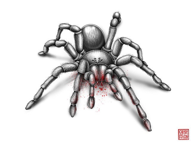artwork by josh dumphy tarantula tattoo artwork by josh dumphy tarantula tattoo