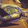 Reclining Furrows