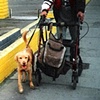 A man's best friend.
