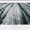 Snowy Streets