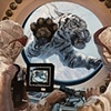 Tiger Diver 2