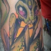 praying mantis