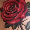 realistic rose
