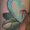 squirrel's heart 1