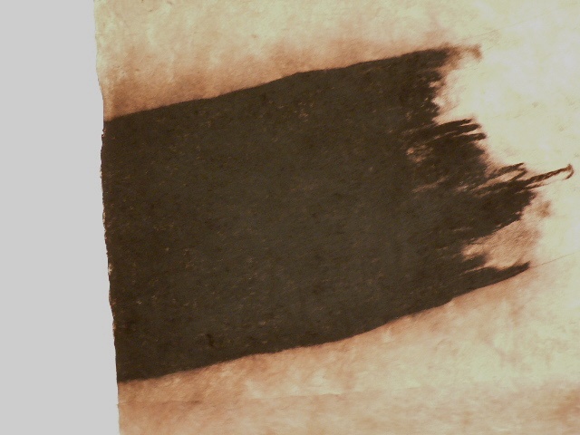 detail, Reedy River