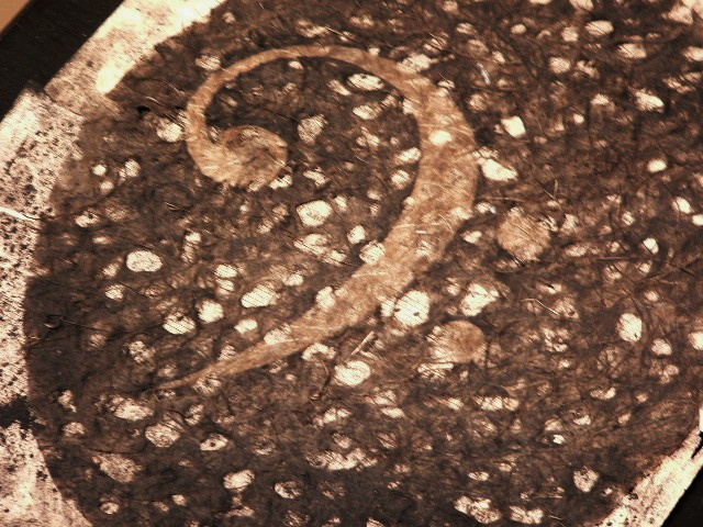 detail, Opus of Phyllis Margaret Schimilwennick Black