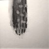 Drawing 2005