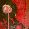detail Red nucleus