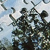 "Puzzled Reflection"