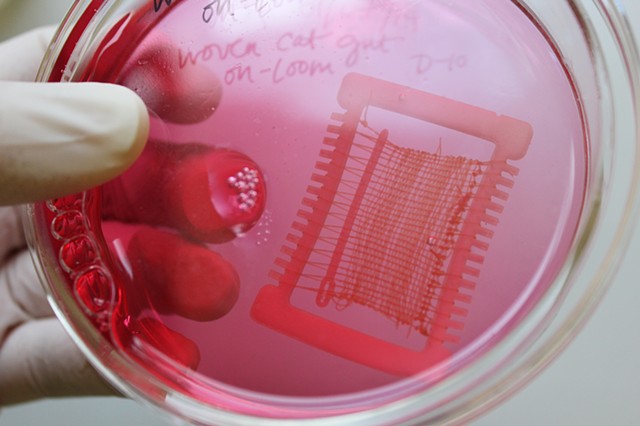 Biotextile I
