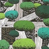 Draft: Niwaki Series No.1