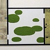 Draft: terrace