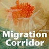 Migration Corridor