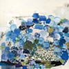 Hydrangea